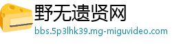 野无遗贤网